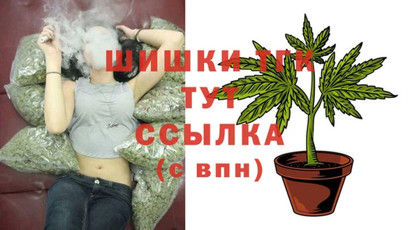 сатива Алексеевка