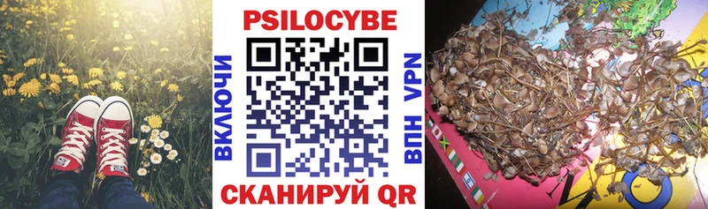 Галлюциногенные грибы ЛСД Павловский Посад